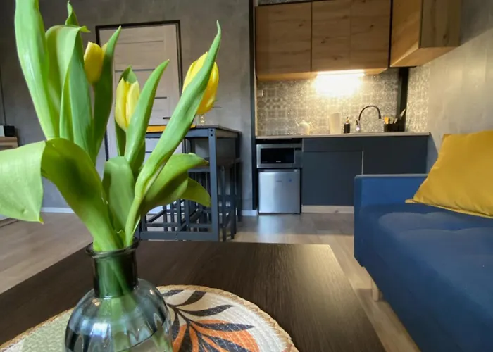 Asspazja Apartment Stronie Śląskie